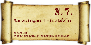 Marzsinyan Trisztán névjegykártya